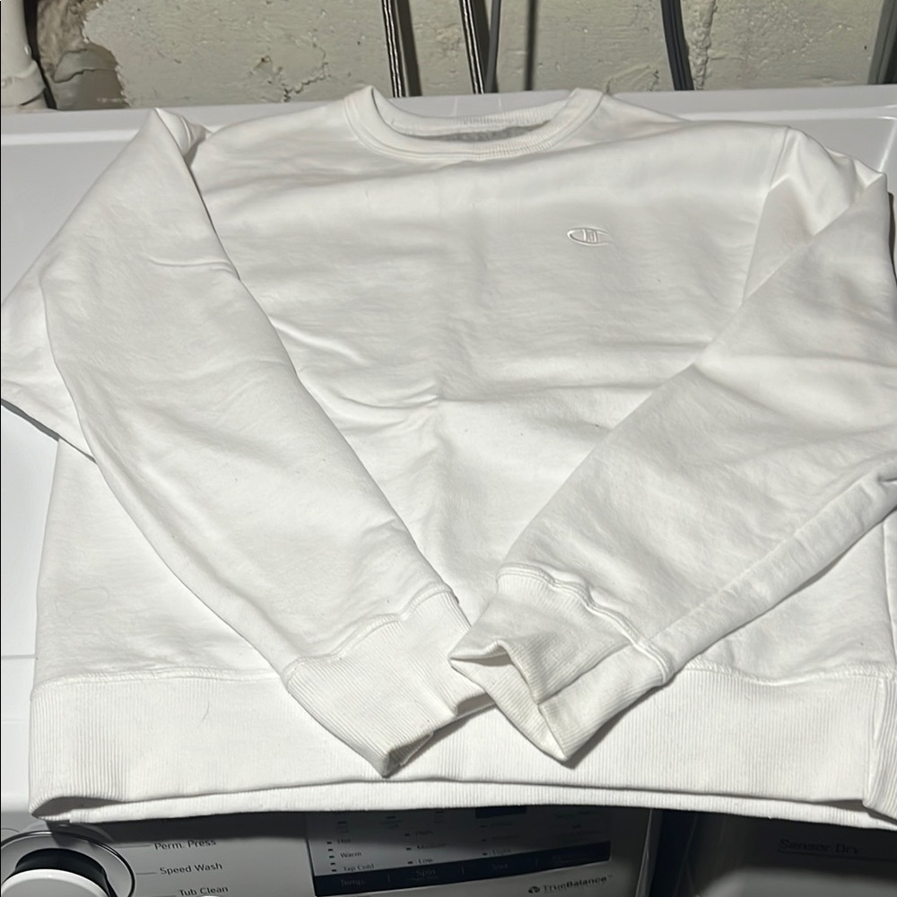 Champion Sweatshirt
